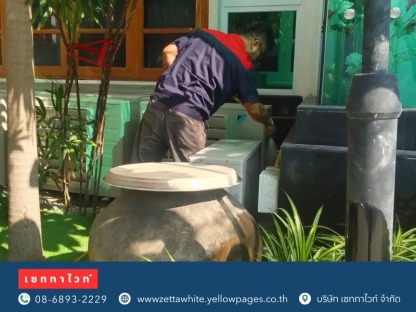 กำจัดปลวกด้วยสมุนไพร ด้วยวิธีออร์แกนิค - กำจัดตุ๊กแก เซททาไวท์ 