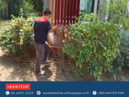 ป้องกันสัตว์เลื้อยคลานรบกวน - กำจัดตุ๊กแก เซททาไวท์ 