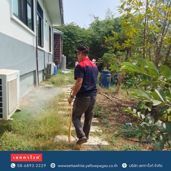 กำจัดตุ๊กแก จิ้งจก