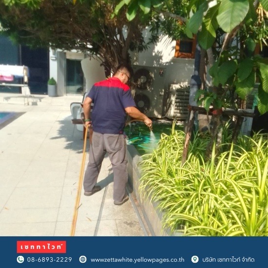 กำจัดตุ๊กแก เซททาไวท์  - กำจัดปลวก เซททาไวท์ กำจัดตุ๊กแก เซททาไวท์  - กำจัดปลวก เซททาไวท์