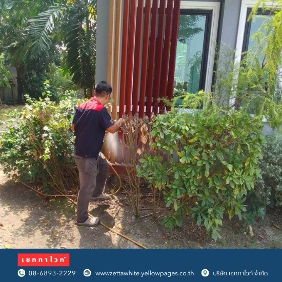กำจัดตุ๊กแก เซททาไวท์  - ฉีดนำยากำจัดปลวก มด ตุ๊กแก ปทุมธานี กำจัดตุ๊กแก เซททาไวท์  - ฉีดนำยากำจัดปลวก มด ตุ๊กแก ปทุมธานี