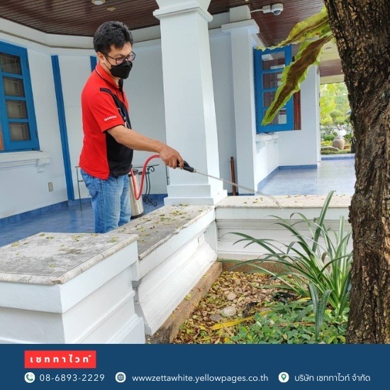 บริษัทกำจัดปลวก รอบทิศทาง บริษัทกำจัดปลวก รอบทิศทาง  กำจัดปลวก  บริษัทกำจัดปลวก ในบ้าน  บริษัทกำจัดปลวก  บริษัทกำจัดปลวก ราคา  บริษัทกําจัดปลวก ราคา pantip  บริษัทกําจัดแมลง ใกล้ฉัน 