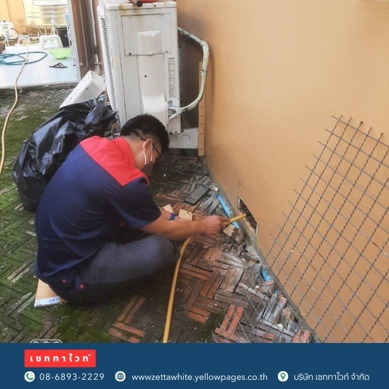 กำจัดตุ๊กแก เซททาไวท์  - ผู้กำจัดปลวกมืออาชีพ นนทบุรี กำจัดตุ๊กแก เซททาไวท์  - ผู้กำจัดปลวกมืออาชีพ นนทบุรี