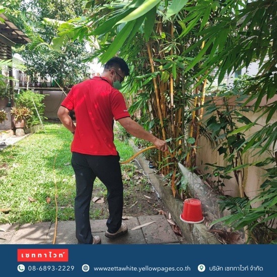 ผู้กำจัดสัตว์รบกวนและสัตว์เลื้อยคลาน ผู้กำจัดสัตว์รบกวนและสัตว์เลื้อยคลาน  ผู้กำจัดสัตว์รบกวน  ผู้กำจัดสัตว์สัตว์เลื้อยคลาน  บริษัทกําจัดหนู ใกล้ฉัน  บริษัทกำจัดสัตว์เลื้อยคลาน  บริษัทกําจัดหนู ปทุมธานี 