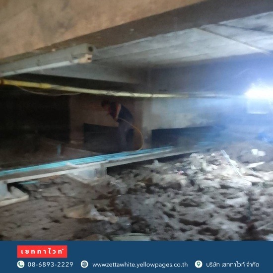 กำจัดตุ๊กแก เซททาไวท์  - รับกำจัดตุ๊กแก กำจัดตุ๊กแก เซททาไวท์  - รับกำจัดตุ๊กแก